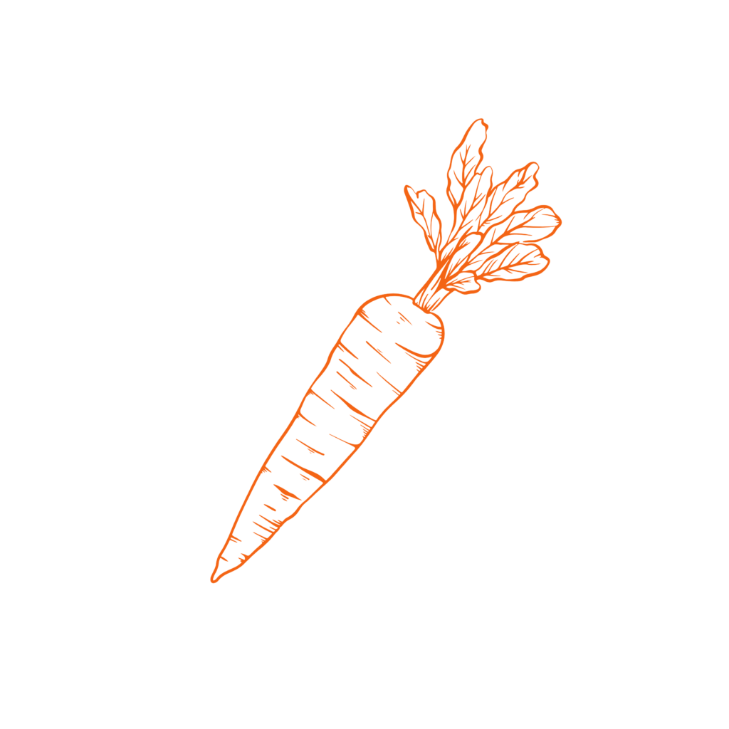 Carotte - Atelier Citronnelle